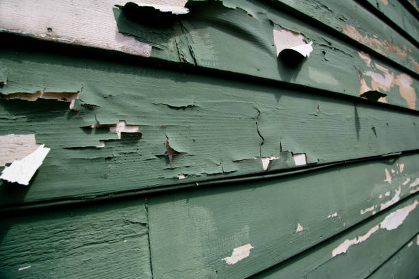 Best Hoarding Cleanup  in Brookwood, AL
